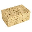 CENTRALE BRICO - Lot de 3 éponges cellulose SPONTEX EXPERT Gros travaux - vignette