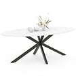 ID MARKET - Table à manger ovale ALIX 10 personnes pied araignée noir et plateau effet marbre blanc ALASKA 200 cm - vignette
