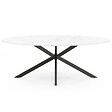 ID MARKET - Table à manger ovale ALIX 10 personnes pied araignée noir et plateau effet marbre blanc ALASKA 200 cm - vignette