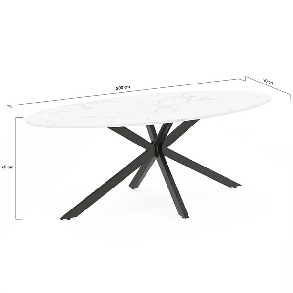 ID MARKET - Table à manger ovale ALIX 10 personnes pied araignée noir et plateau effet marbre blanc ALASKA 200 cm - large