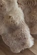 FIL ARIANE - FA - Plaid 125 x 150 cm Polyester fausse fourrure ASTRA Taupe - vignette