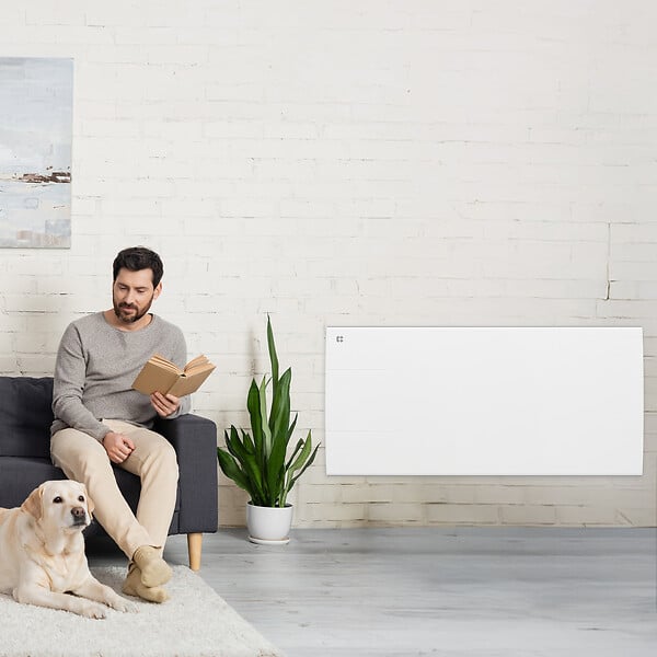 CIARRA - CIARRA CDHT20E Radiateur Electrique Mural 2000W 15-20㎡ Chauffage IP24 Programable Inertie Sèche Céramique - large