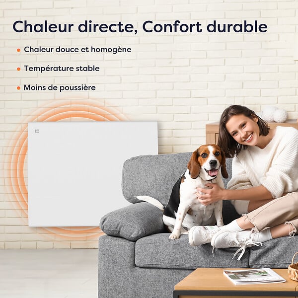 CIARRA - CIARRA CDHT10E Radiateur Electrique Mural 1000W 5-10㎡ Chauffage IP24 Programable Inertie Sèche Céramique - large