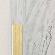 AURLANE - Paroi de douche à l'italienne 160x200 cm verre trempé 8 mm - Or Doré Brossé - FREEDOM 2 GOLD - vignette
