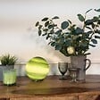 C-CREATION - Lpe astrolis verte d20 - vignette