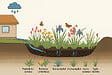 ARBORIX - Kit de plantes pour wadi – 180 plantes aquatiques - vignette