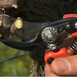 BAHCO - Sécateur ergo taille m tete n 2 BAHCO - PX-M2 - vignette