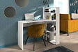PARISOT IN - Bureau mister avec bibliotheque - vignette