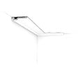 ORAC DECOR - C356 Corniche plafond polyuréthane Orac Decor Luxxus - 2x10x200cm (h x p x L) - moulure décorative Carton complet - vignette
