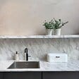 PLANT IN A BOX - Gommier - Set de 2 - Eucalyptus 'Pulverulenta' - Hauteur 25-40cm - ⌀13cm - vignette