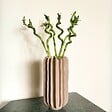 PLANT IN A BOX - Lucky Bamboo - Set de 12 - Dracaena sanderiana - Hauteur 40-50cm - ⌀2cm - vignette