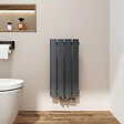 EMKE - EMKE Radiateur Chauffage Central 60 x 30 cm 210W – Radiateur Eau Chaude Vertical Étroit en Acier Anthracite - vignette