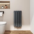 EMKE - EMKE Radiateur Chauffage Central 60 x 30 cm 384W Double Panneau – Radiateur Eau Chaude Vertical Étroit en Acier Anthracite - vignette
