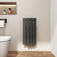 EMKE - EMKE Radiateur Chauffage Central 60 x 30 cm 210W – Radiateur Eau Chaude Vertical Étroit en Acier Noir - vignette