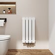 EMKE - EMKE Radiateur Chauffage Central 60 x 30 cm 384W Double Panneau – Radiateur Eau Chaude Vertical Étroit en Acier Blanc - vignette