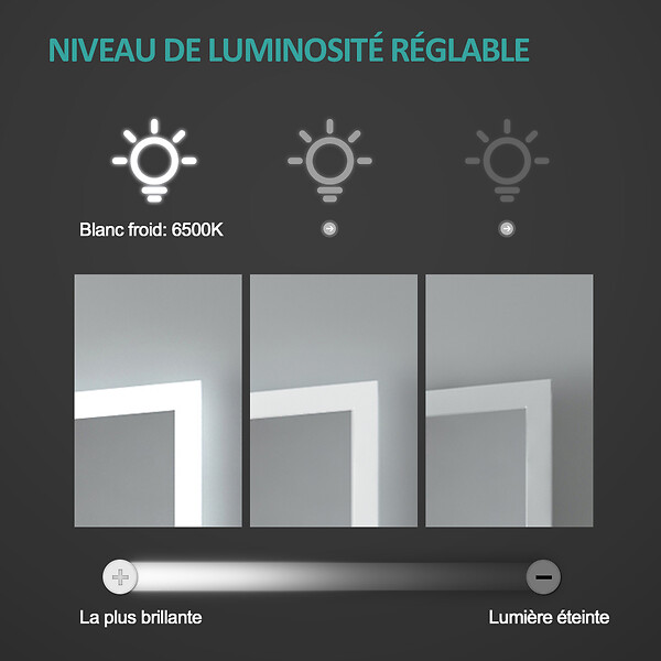 EMKE - EMKE Miroir lumineux salle de bain rond diamètre 50cm cadre noir, Sangle réglable, Miroir LED, Interrupteur Tactile, Lumière Froide - large