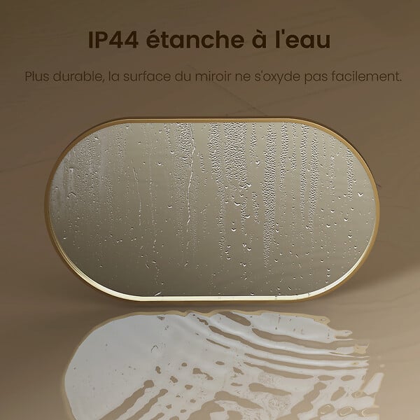 EMKE - EMKE Miroir mural 60 × 100 cm Miroir ovale avec cadre doré, Miroir non lumineux salle de bain - large