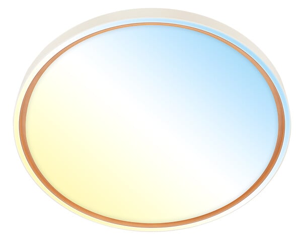 BRILONER - INA Plafonnier  LED CCT Ø49cm gris clair/mokka 5200 lm - large