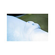 OSPAZIA - Porte gobelet pour spa gonflable - Dimensions : 23 x 23 x 20 cm - Compatible autres marques - vignette