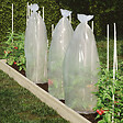 JARDIBEST - Housses à tomates - 17g/m² - L.0,60x10m - x6 - vignette