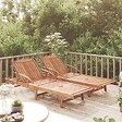 VIDAXL - vidaXL Chaises longues lot de 2 Bois d'acacia solide - vignette
