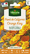 VILMORIN - Pavot de Californie Orange King - Graines - vignette