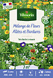 VILMORIN - Mélange de fleurs tapissant pour allées - 7m² - Multicolore - vignette