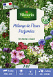 VILMORIN - Mélange de Fleurs Parfumées - 7 M² - vignette