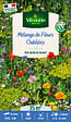 VILMORIN - Mélange de Fleurs Oubliées - Graines - 25m² - vignette