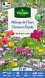 VILMORIN - Mélange de fleurs Floraison Rapide - Multicolore - 25m² - vignette
