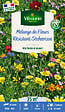 VILMORIN - Mélange de fleurs résistant sécheresse - Multicolore - 25m² - vignette