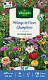 VILMORIN - Mélange de fleurs champêtres - Multicolore - 50m² - vignette