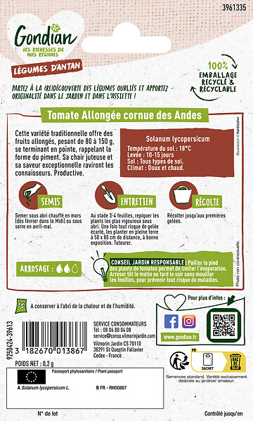 GONDIAN - Graines Tomate Cornue des Andes - Variété ancienne - large