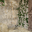 JARDIBEST - Croc à fumier - 4 dents - 20cm - vignette