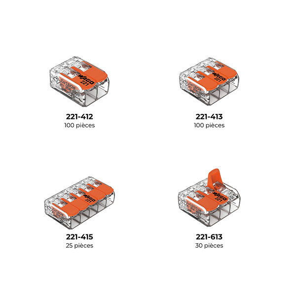 WAGO - L-BOXX® Mini 255 bornes WAGO 221 4 & 6mm² - large