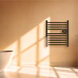 BESTHERM - Sèche-serviette électrique sans fluide - BESTHERM - HESTIA 300W - noir - vignette