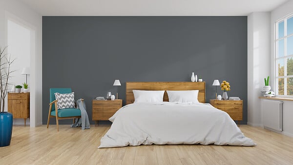 NUANCE - Peinture Velours - Gris remarquable - 2L - large