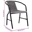 VIDAXL - vidaXL Chaises de jardin lot de 2 Plastique Rotin et acier 110 kg - vignette