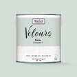 NUANCE - Peinture Velours - Gris discret - 2L - vignette