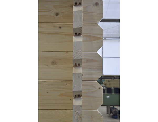 ALTANKA - Abri de jardin en bois - 30m2 - 6x5m - Ep. 40mm - Couleur: naturel - DOM747 - large