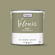 NUANCE - Peinture Velours - Vert renversant - 2L - vignette