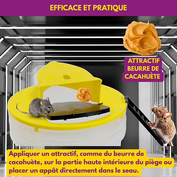 ACTO - Piège à souris à bascule multi-captures - large