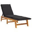 VIDAXL - vidaXL Chaises longues et coussins lot de 2 Résine tressée et acacia - vignette