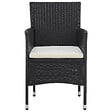 VIDAXL - vidaXL Chaises de jardin lot de 2 Résine tressée Noir - vignette