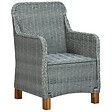 VIDAXL - vidaXL Chaises de jardin avec coussins lot de 2 Résine tressée - vignette
