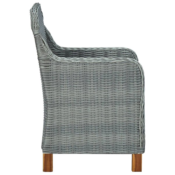VIDAXL - vidaXL Chaises de jardin avec coussins lot de 2 Résine tressée - large