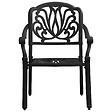 VIDAXL - vidaXL Chaises de jardin lot de 2 Aluminium coulé Noir - vignette