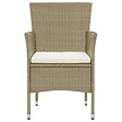 VIDAXL - vidaXL Chaises à manger de jardin lot de 4 Résine tressée Beige - vignette