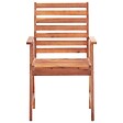 VIDAXL - vidaXL Chaises à manger d'extérieur lot de 3 Acacia massif - vignette
