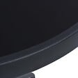 VIDAXL - vidaXL Table de jardin Noir 80 cm Acier et verre - vignette
